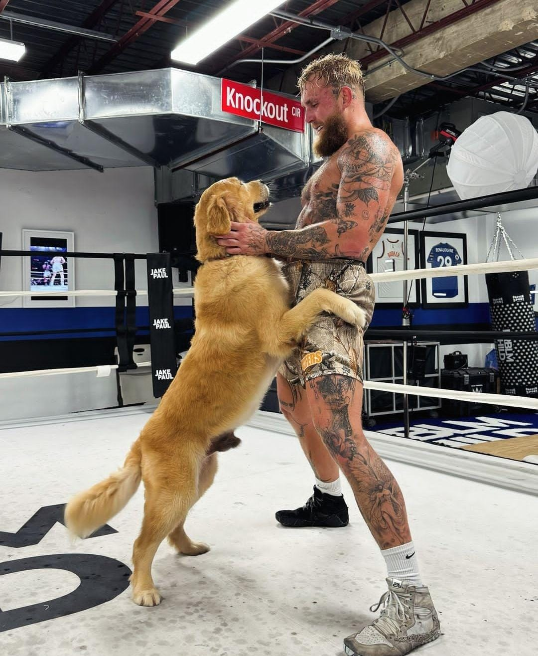 Mike Tyson x Jake Paul: reveladas as regras para o combate em Dallas