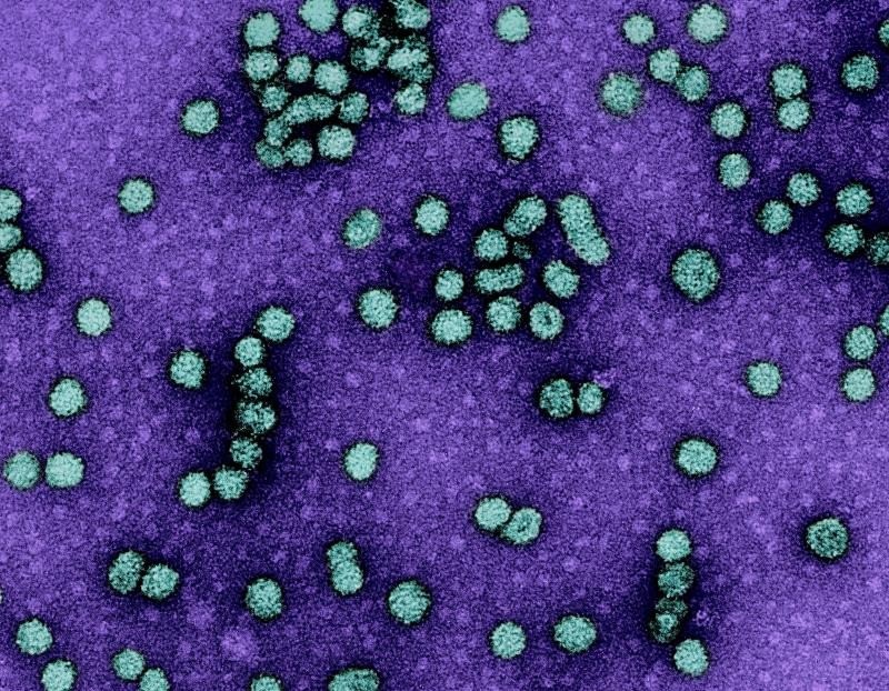 Brasil cumpre metas e busca certificação da OMS para eliminar transmissão vertical da Hepatite B