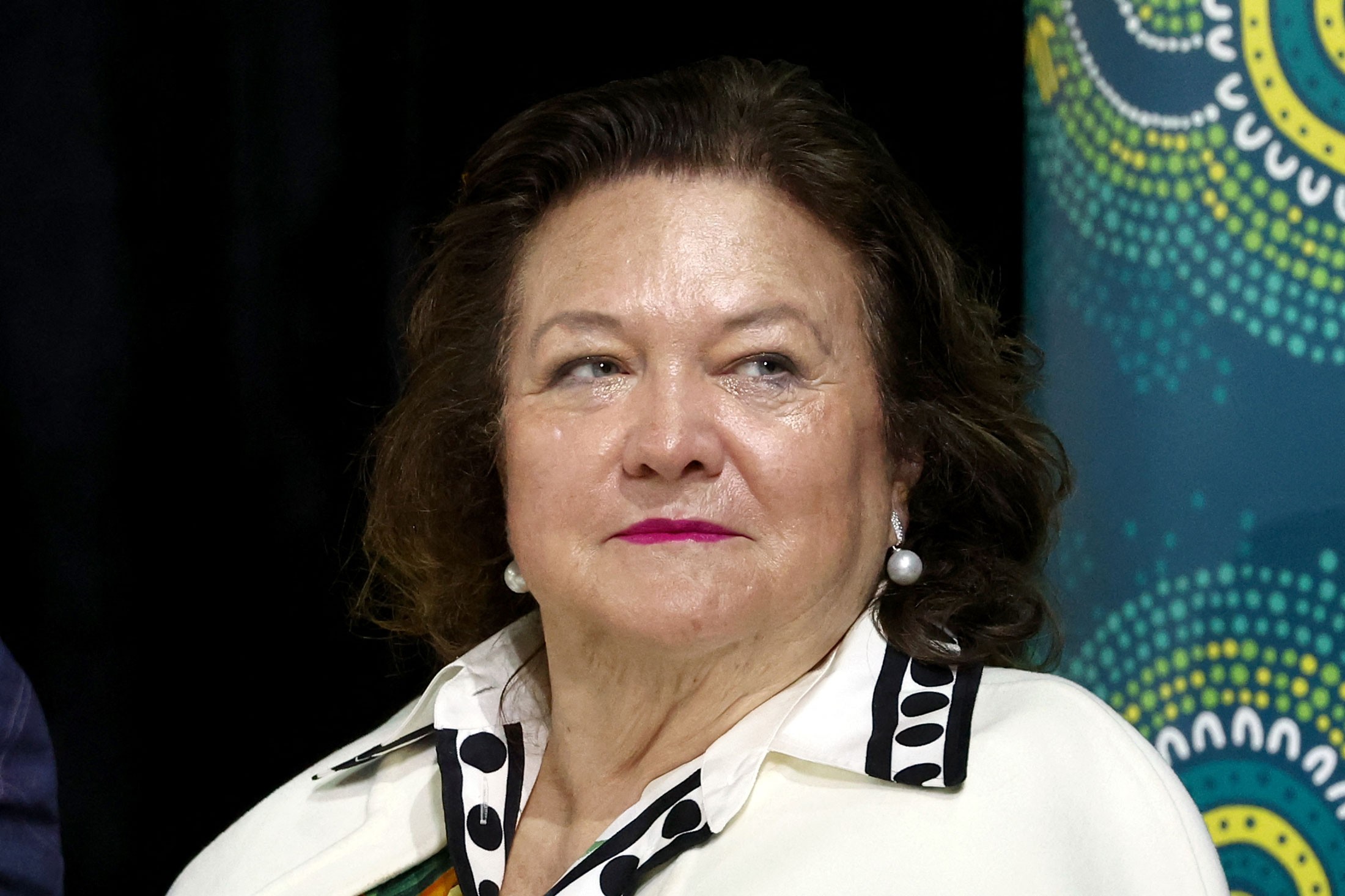 Bilionária Gina Rinehart amplia participação no setor australiano de terras-raras