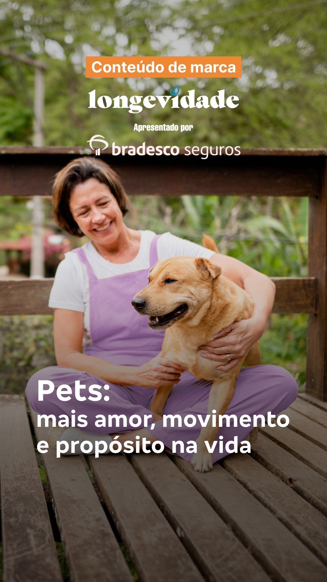 online stories-54-bradesco-01.png