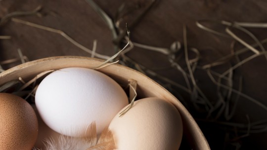 Caipira, branco, orgânico ou de galinhas livres: qual o ovo mais saudável?