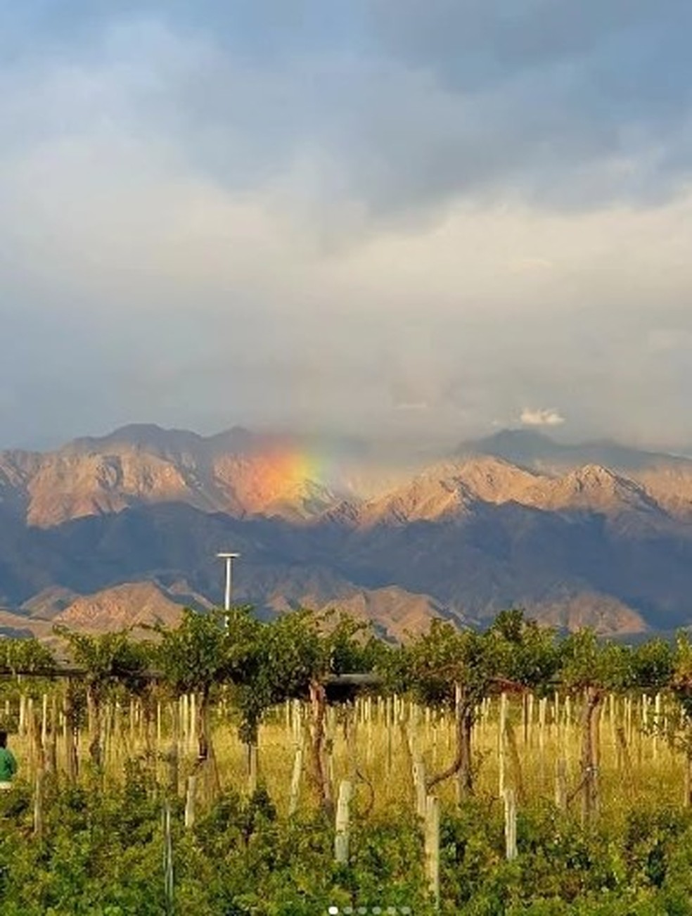Os vinhedos da Ver Sacrum, em Mendoza - Foto: Reproduo