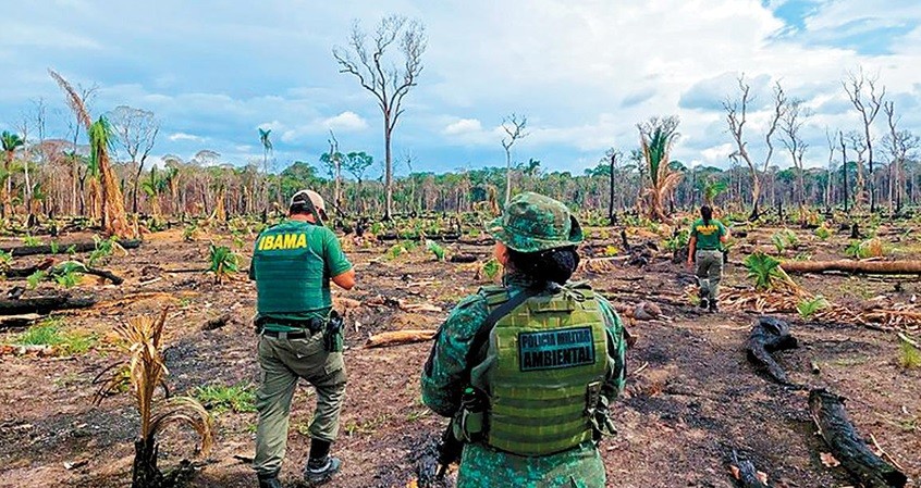 Em meio a derrotas na Câmara, Frente Ambientalista tenta suavizar textos dos projetos da 