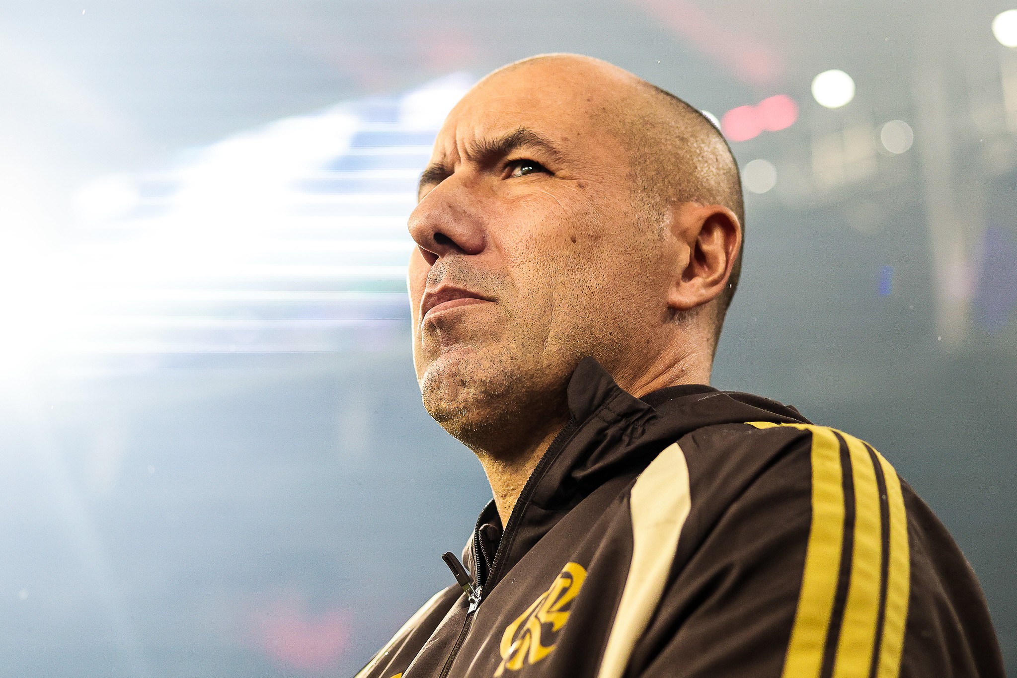 Jardim supera melhor sequência de vitórias de Filipe Luís no Flamengo e se aproxima de marca de Jorge Jesus