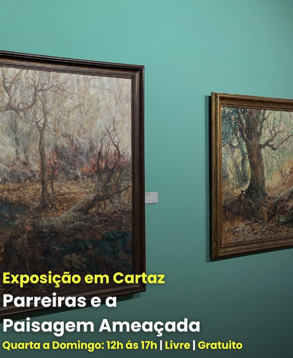 Exposição em cartaz no Museu Antônio Parreiras aborda ameaças à natureza — Foto: Reprodução/Instagram