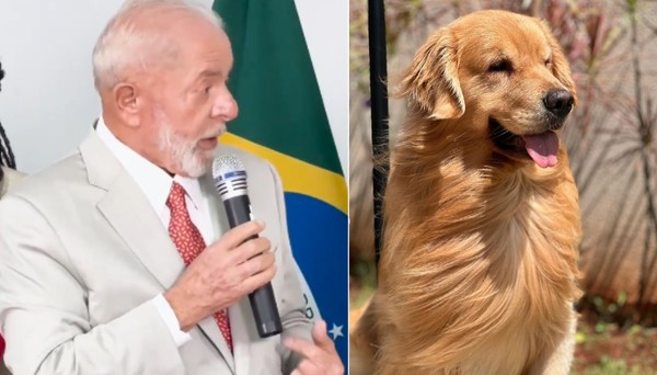 Lula cobra Anac e GOL por morte de Joca em voo, e usa gravata para homenagear cachorro