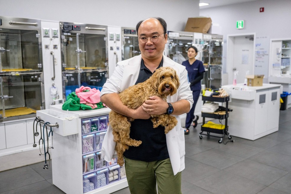 Quando Mozzi, de cinco anos, começou a andar "de forma não natural", seu dono preocupado o levou às pressas ao veterinário na Coreia do Sul, onde o problema do cão foi identificado não por um humano, mas por IA — Foto: ANTHONY WALLACE / AFP