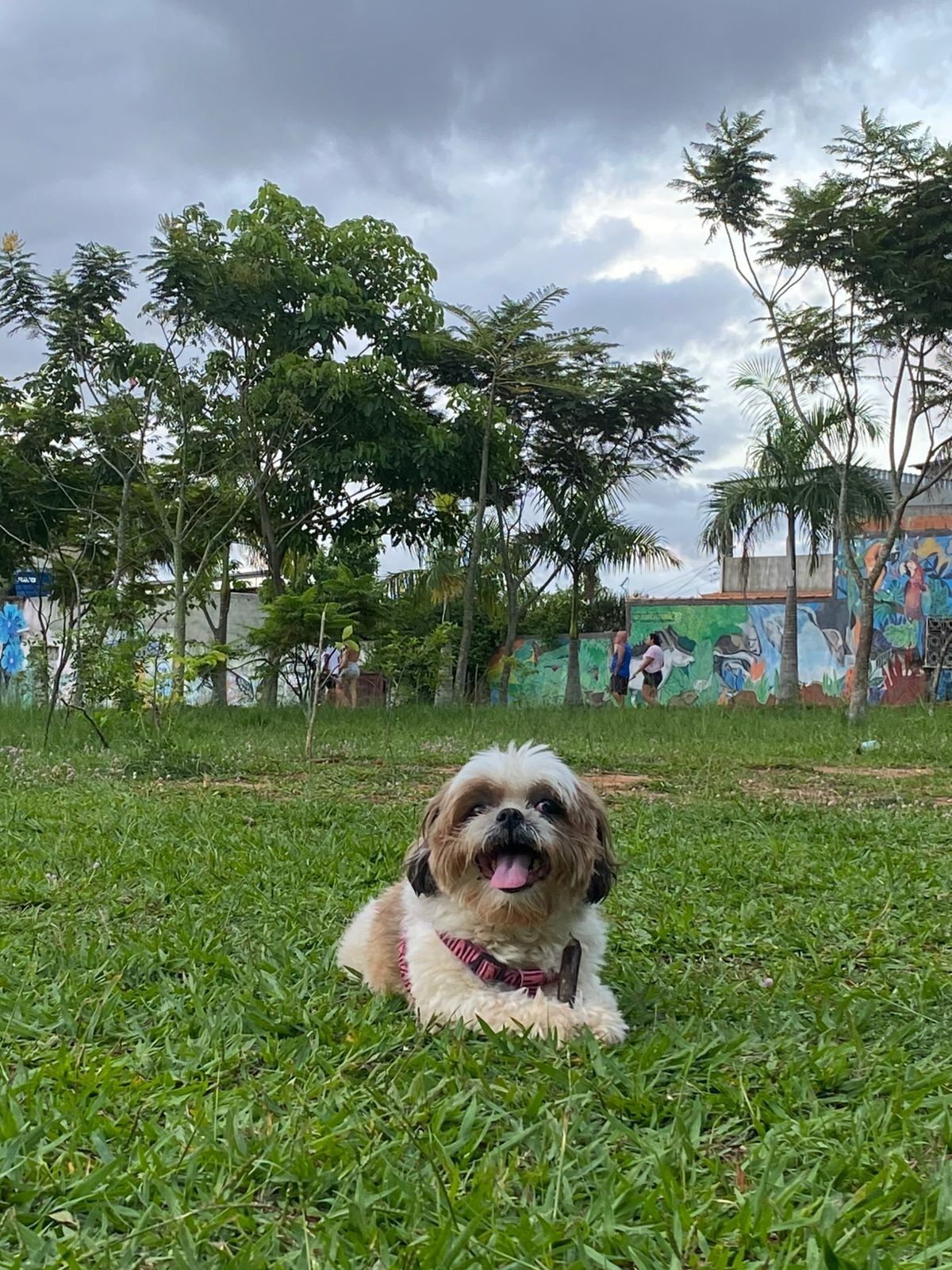 2f41ecdc-4324-4f1a-a7c4-05f4aef2a0e5.jpe