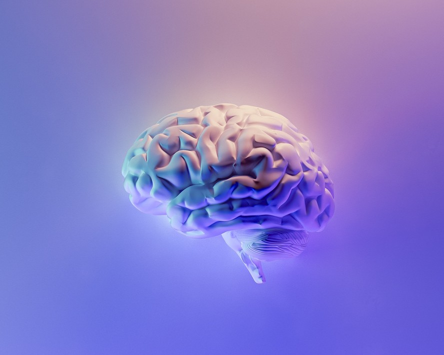 Malhe o cérebro: conheça jogos que exercitam a mente - Blog com Ciência