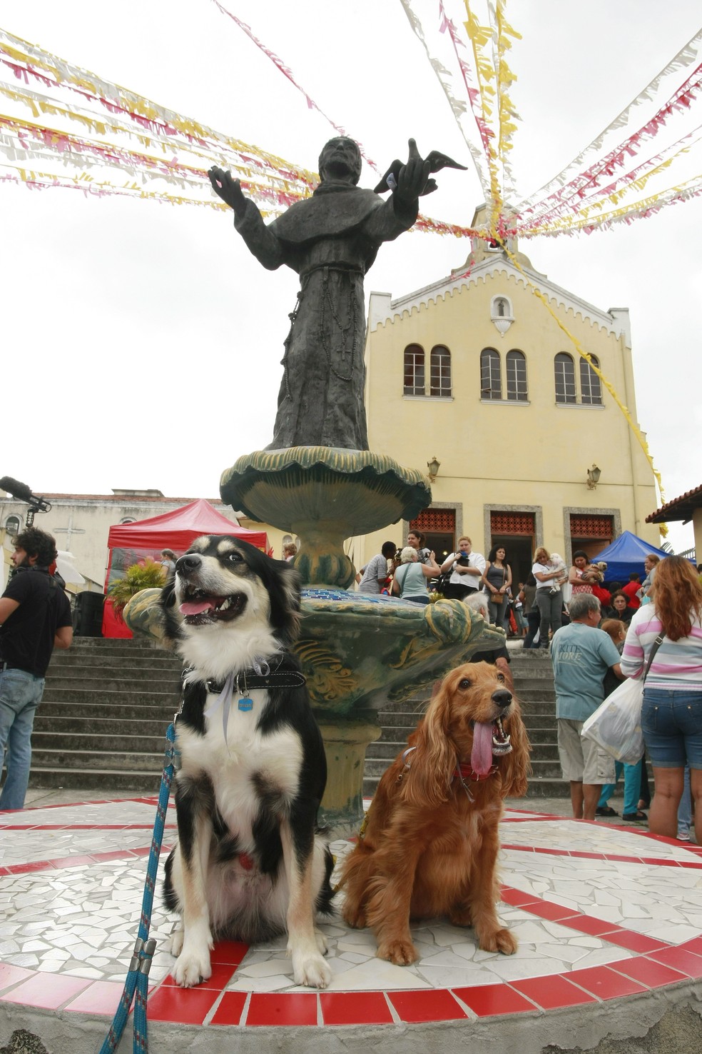 Cachorros na porta da Igreja de São Francisco de Assis, no Rio Comprido, durante bênção aos animais — Foto: Fabiano Rocha / Agência O Globo / 04-10-2011