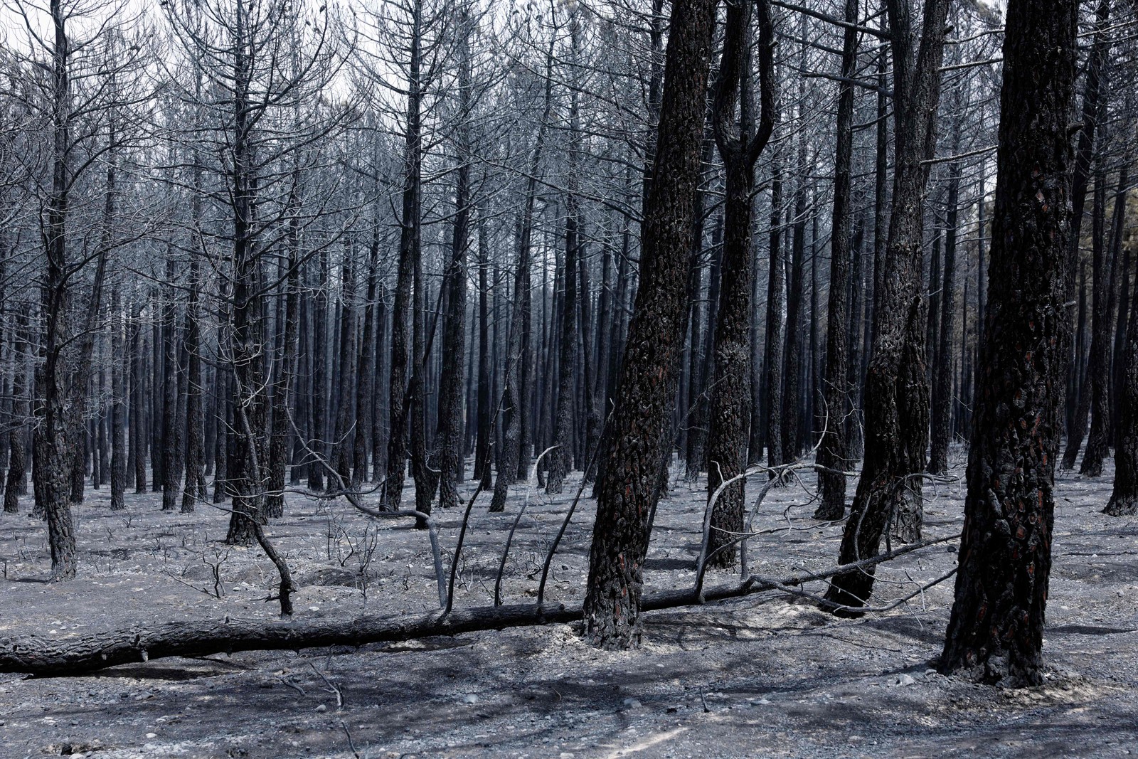 Na Espanha, um novo incêndio declarado nesta quarta-feira perto da cidade central de Toledo provocou a evacuação de vários municípios da comunidade de Madri — Foto: Pierre-Philippe Marcou/AFP