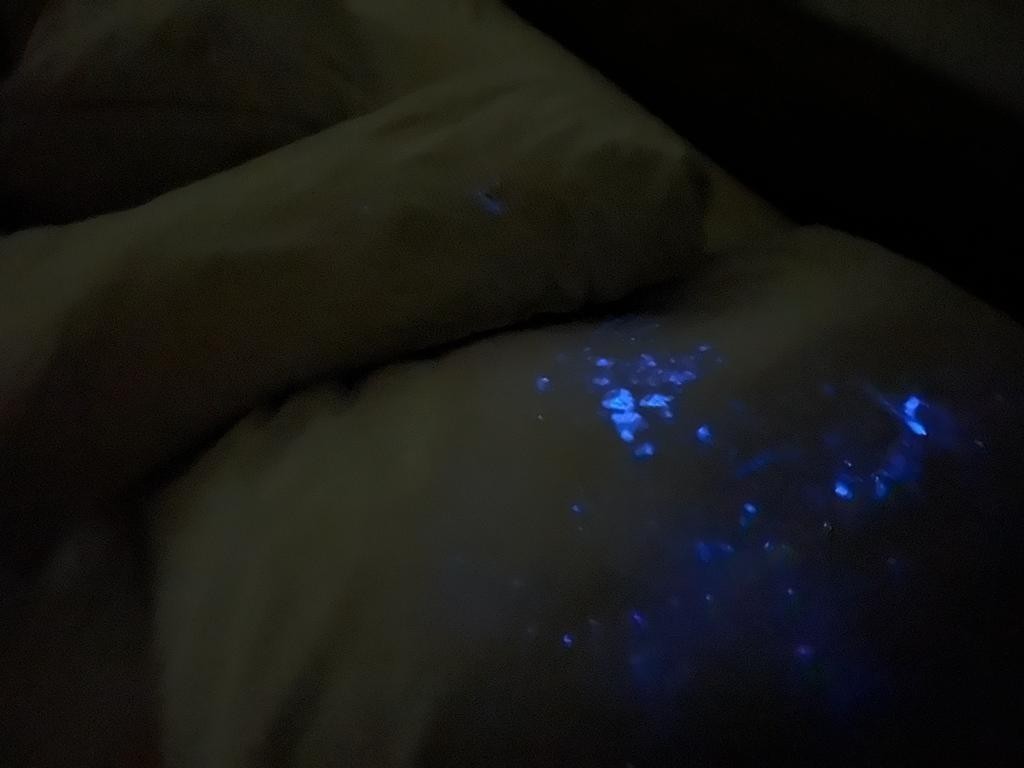 Luminol usado na cama da suíte master evidencia presença de sangue — Foto: ICCE-RJ