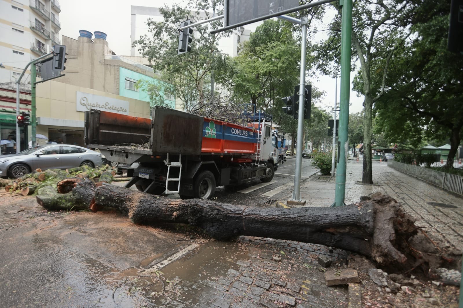 Queda de árvore de grande porte em Vila Isabel interditou o Boulervard 28 de Setembro