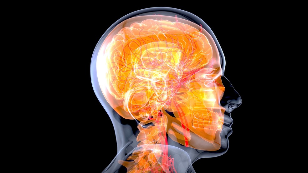 Conflito interno entre o córtex pré-frontal e o sistema límbico determina o comportamento humano em situações de estresse — Foto: Foto: Freepik