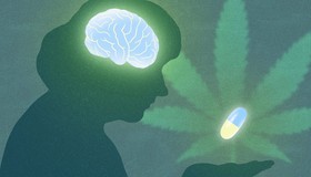 Alzheimer: estudo desvenda como um composto menos conhecido da Cannabis pode proteger o cérebro