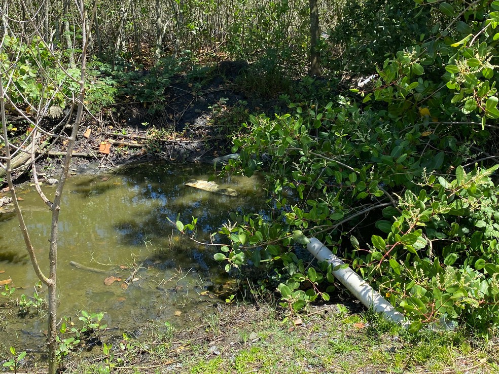 Esgoto era despejado através de cano branco na beira da Lagoa de Piratininga — Foto: Filipe Bias
