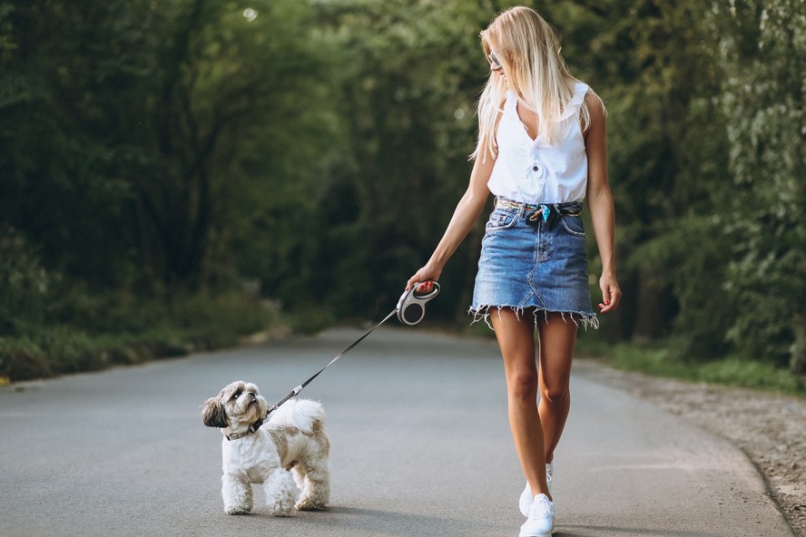 Por que famílias estão contratando profissionais para cuidar da rotina dos cães