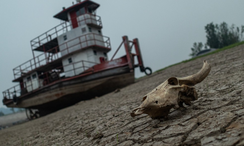 Lago do Puraquequara, em Manaus, durante seca em 2023: outro problema previsto no 'Brasil 2040' — Foto: Raphael Alves/Agência O GLOBO