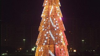Em 1998, a Árvore da Lagoa continuou a encantar quem passava pela orla — Foto: Fernando Quevedo
