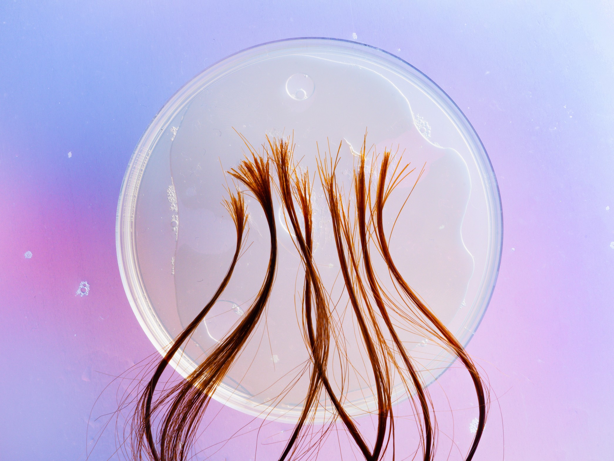 O que seu cabelo pode revelar sobre sua saúde