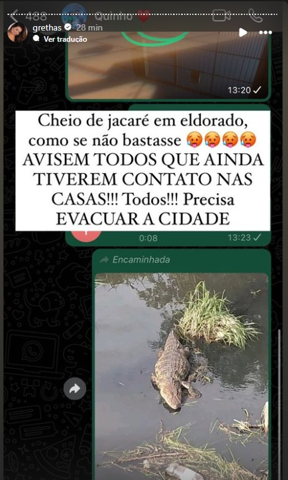 Esposa de Quinho, líder da equipe que atua auxiliando com resgates de jet ski, no Sul, alerta para jacarés espalhados pela cidade — Foto: Reprodução/Redes sociais