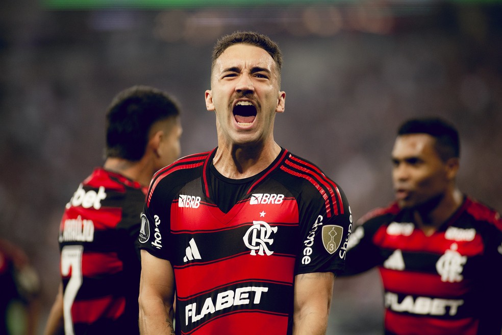 Com vitria sobre LDU, Flamengo segue vivo por classificao na Libertadores  Foto: Adriano Fontes/Flamengo