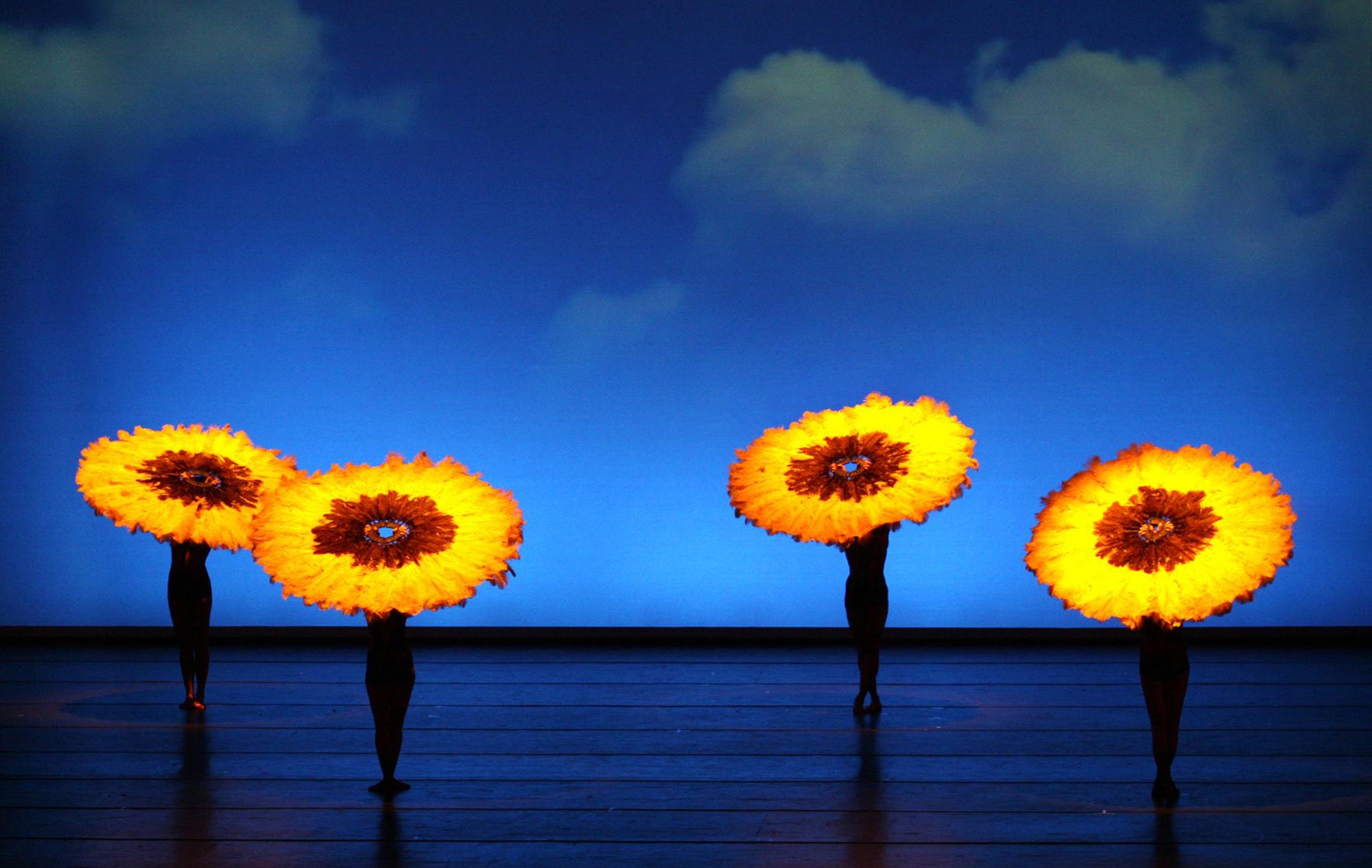 MOMIX apresenta o espetáculo BOTANICA em turnê pelo Brasil - QTU Questões do Universo