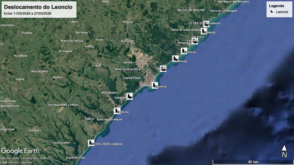 a rota percorrida por Le&ocirc;ncio &mdash; Foto: Instituto Biota