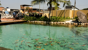 'Resort' do Peixão tinha lago com carpas e areia de praia: o espaço que parlamentares alegaram ser projeto social