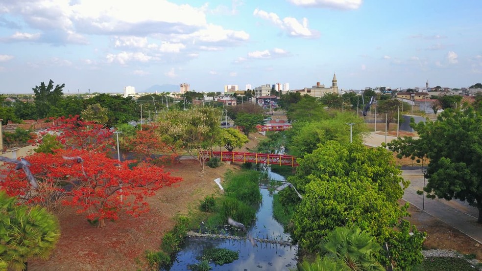 Programa de ecobarreiras em Sobral (CE) aposta na construção de biovaletas e jardins de chuva — Foto: Divulgação/Prefeitura de Sobral
