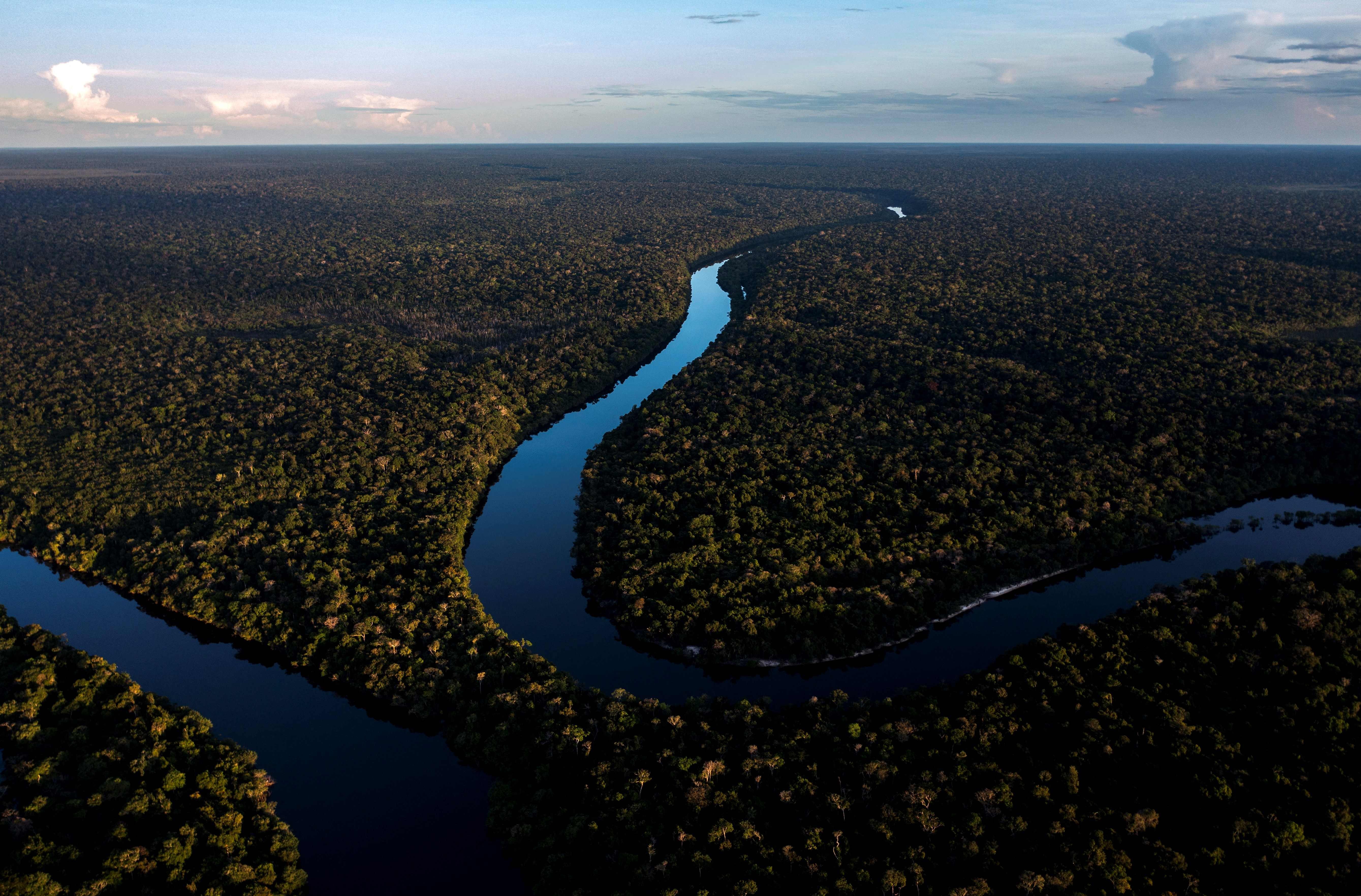 Por que não existe projeto de país sem a Amazônia