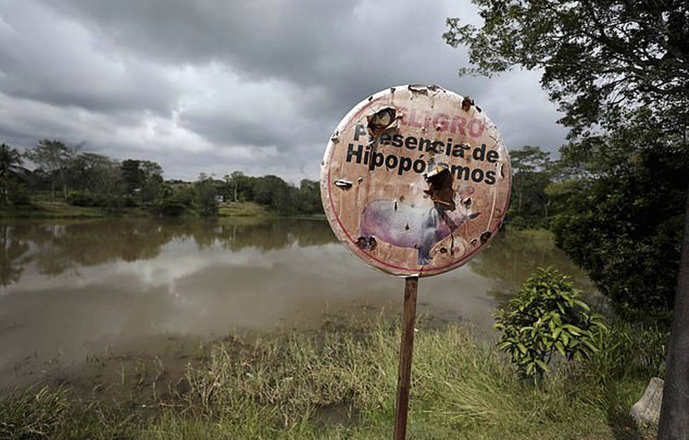 Local onde animais se concentram tem alerta sobre perigo pela presença das espécies — Foto: Arcrebiano Araujo / AFP