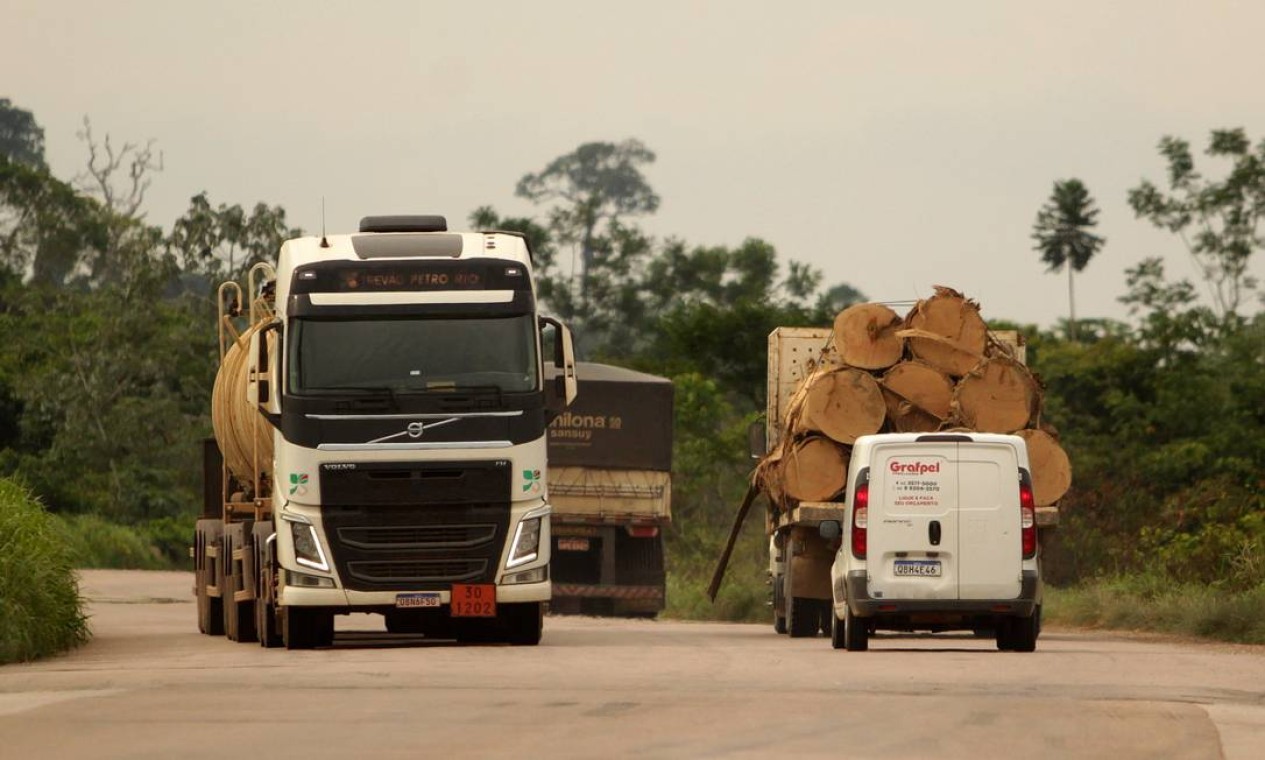 Transporte ilegal de madeira no estado do Pará acontece nas regiões de Castelo dos Sonhos, Novo Progresso, Trairão, Rurópolis, nas BRs-230 e 163, a Transamazônica — Foto: FramePhoto / Agência O Globo