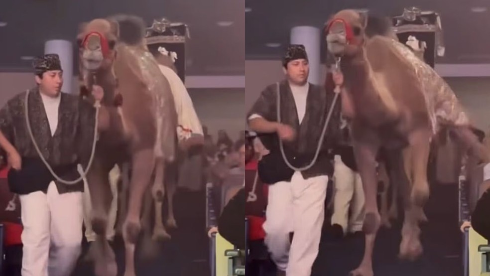 Montage with the moment that went viral — Photo: Screenshot/Social Media