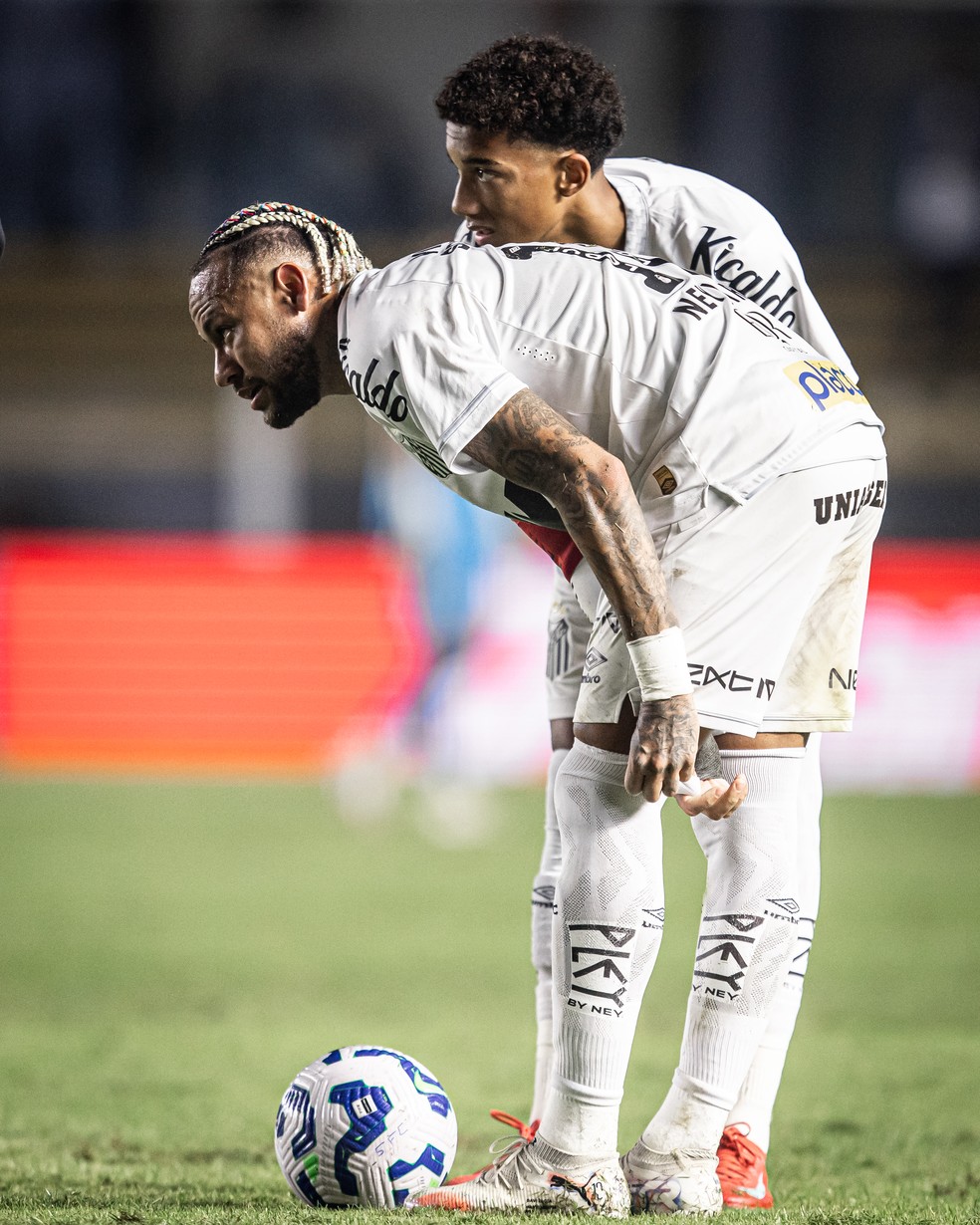 Neymar e Robinho Júnior — Foto: Raul Baretta/ Santos FC