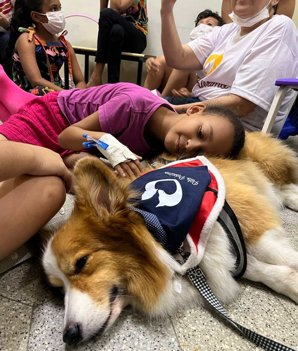 Tyrion.Uma menina internada no Antonio Pedro deita a cabeça sobre o cão terapeuta durante visita do Pêlo Próximo realizada no fim do ano passado — Foto: Divulgação/Pêlo Próximo