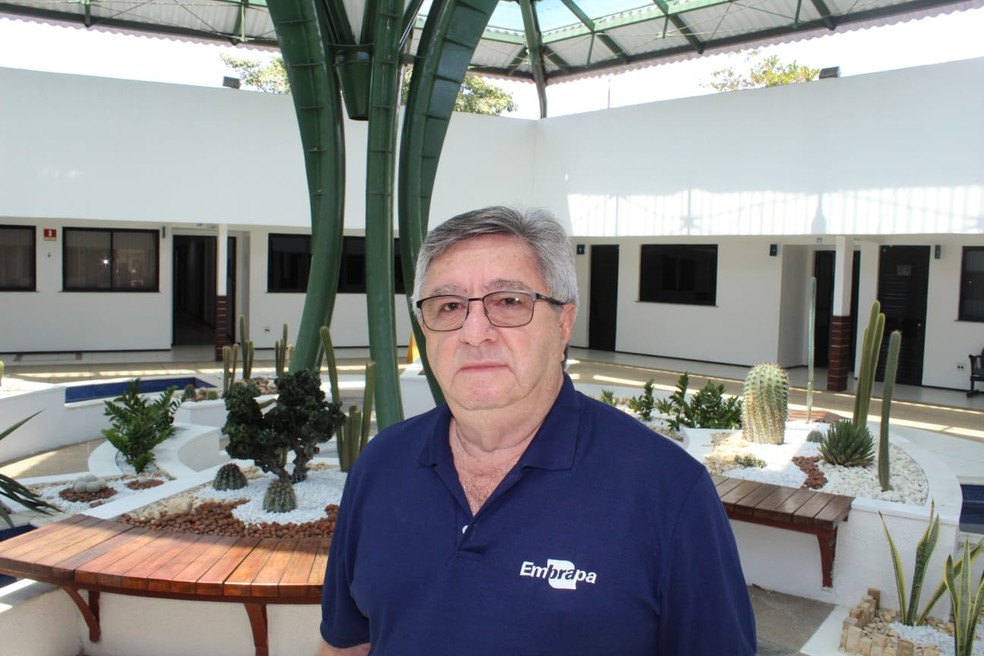 Cláudio Carvalho, pesquisador da Embrapa Agroindústria Tropical (CE) — Foto: Divulgação/Embrapa