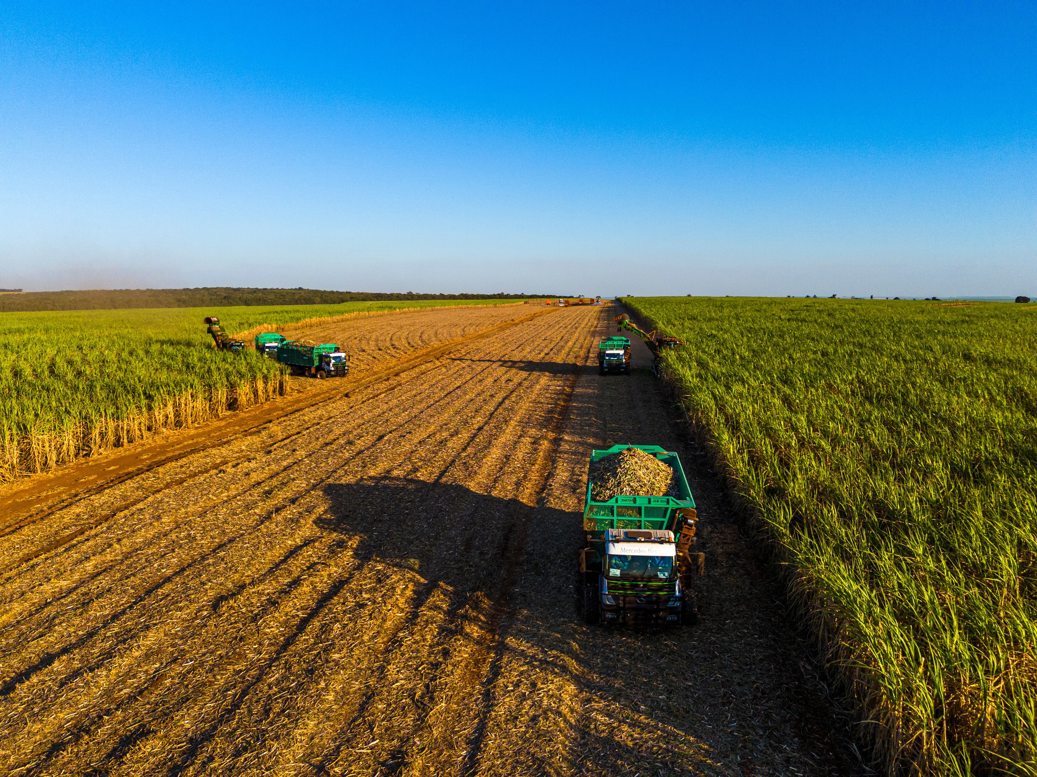 Agro já responde por 60% da oferta de energia verde no Brasil, revela estudo da FGV - QTU Questões do Universo
