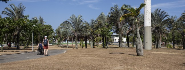 Grama do Aterro do Flamengo amarelada por falta de chuvas. — Foto: Alexandre Cassiano/ Agência O Globo