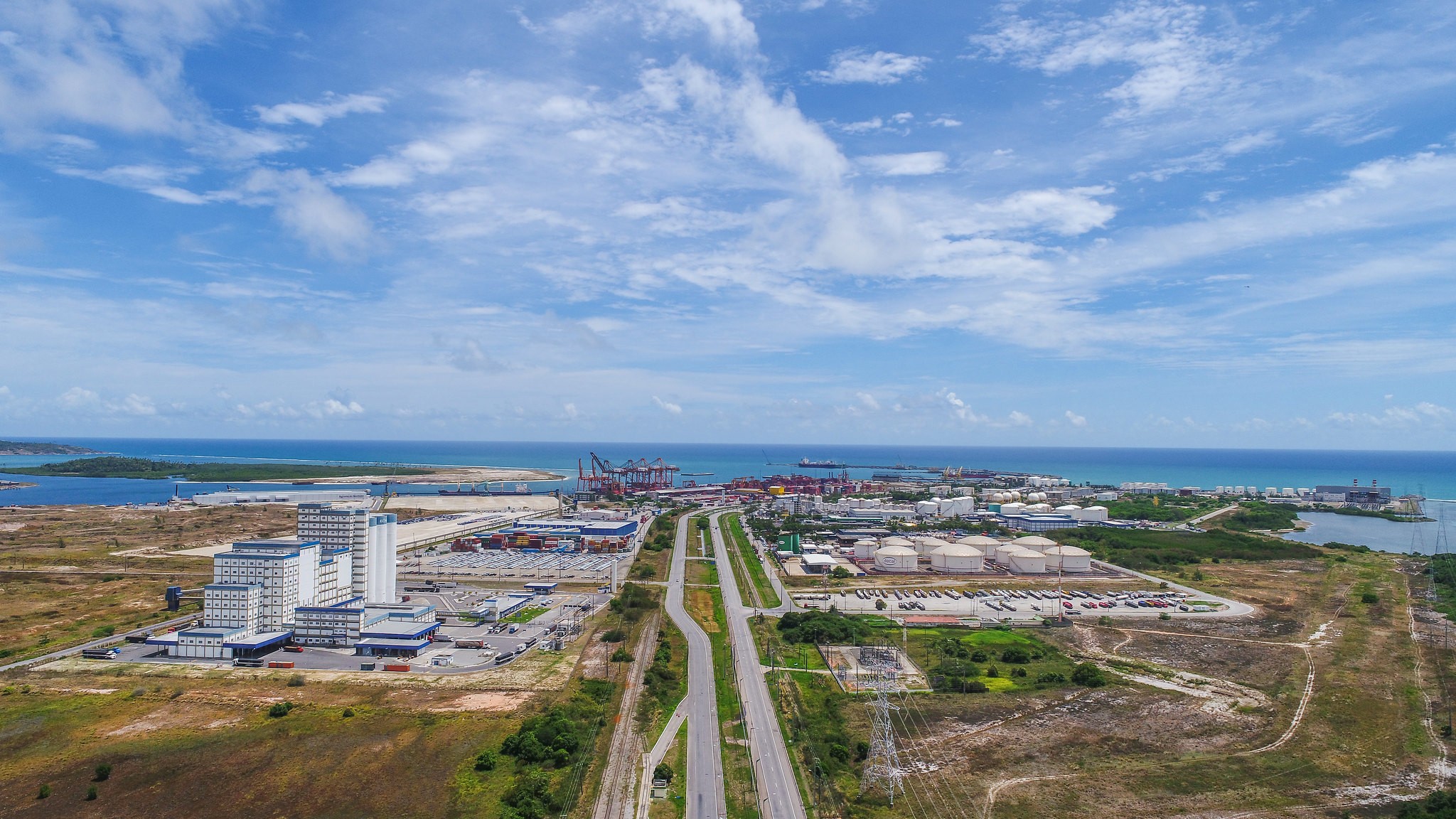 Construção do Porto de Suape aumenta ataques de tubarão em Pernambuco