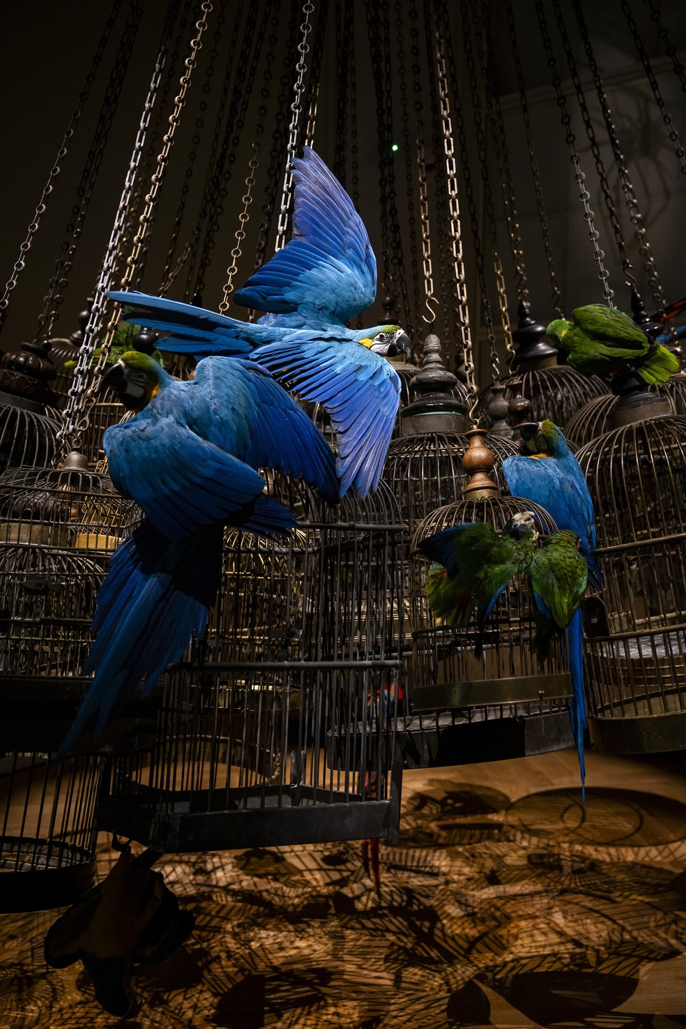 Pássaros tropicais em gaiolas antigas, expostos no Art Zoo, Amsterdã — Foto: Ilvy Njiokiktjien/The New York Times