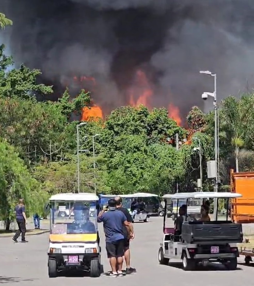 Incêndio nos Estúdios Globo — Foto: Reprodução/X