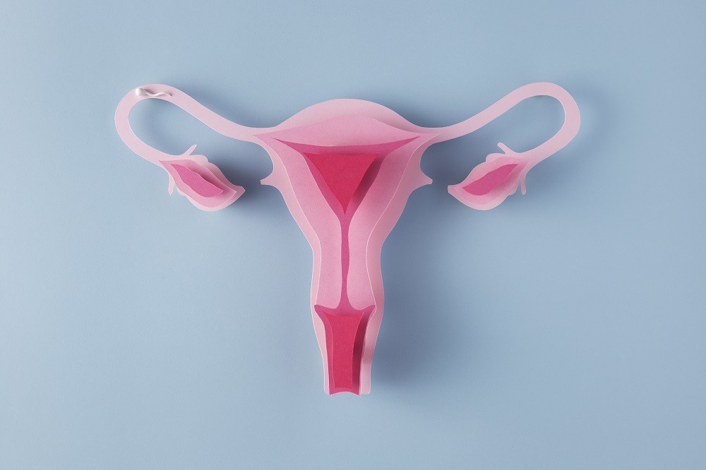 Endometriose: novo estudo ajuda a explicar a causa do problema que afeta 180 milhões de mulheres no mundo