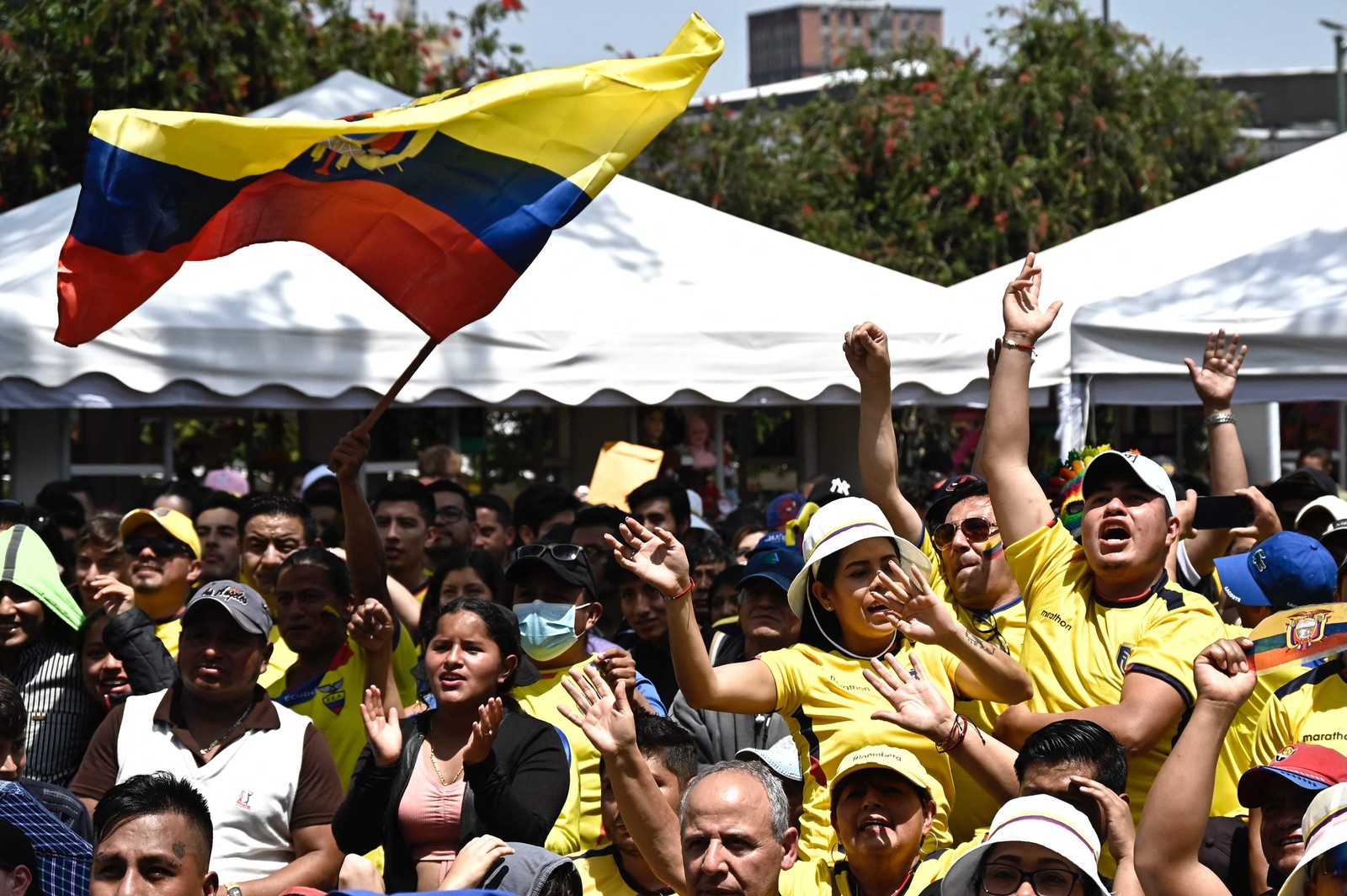 Equatorianos lotam as ruas de Quito para assistir à seleção vencer os anfitriões por 2 a 0 na abertura da Copa no Catar — Foto: RODRIGO BUENDIA/AFP