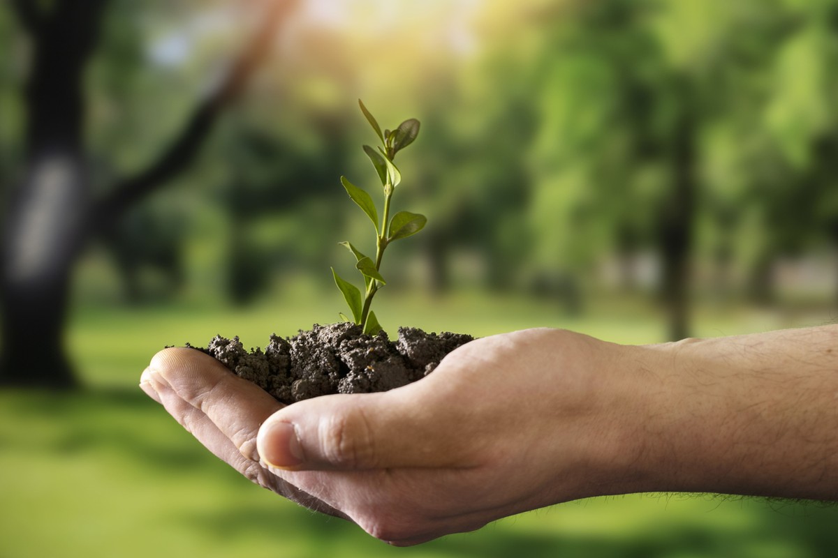 Desktop lança relatório de sustentabilidade