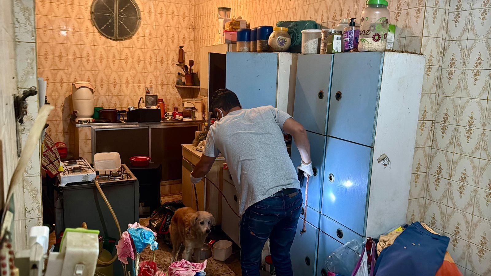 Corpo de idosa é encontrado em casa infestada de ratos e cachorros desnutridos