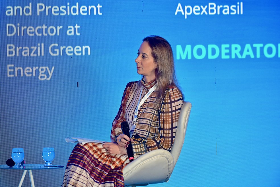 HELENA BRANDÃO, gerente de Investimentos da ApexBrasil — Foto: IMAGENS: G.LAB/SÉRGIO DUTTI E G.LAB/RUY BARON