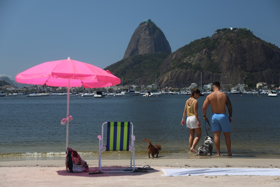 O casal Yuri Rodrigues e Alexia, com o cão Dom na Praia de Botafogo neste sábado (20) — Foto: Gabriel de Paiva/Agência O Globo