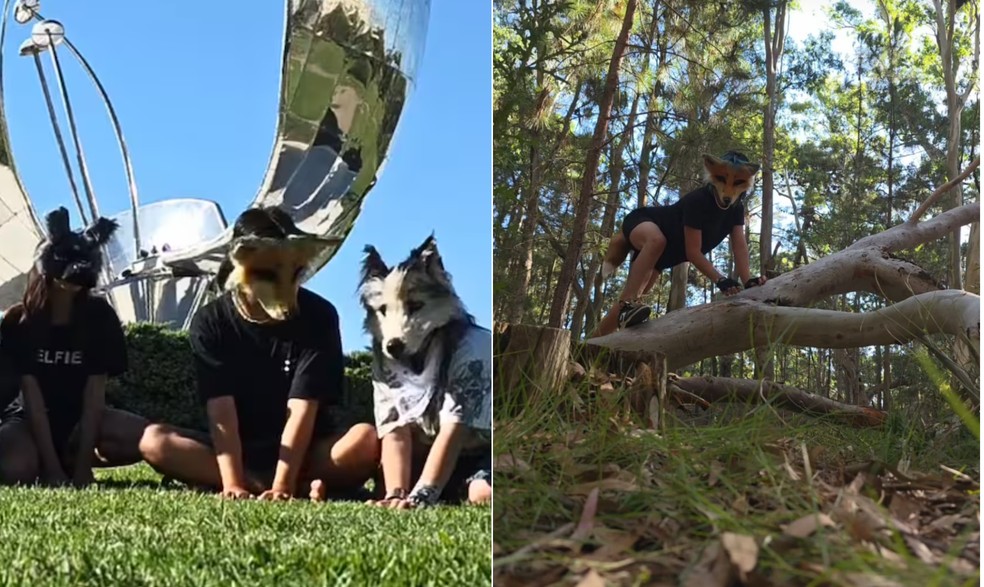 Grupo de terianos se encontra em parques para interagir uns com os outros, pulando, brincando e até latindo — Foto: Reprodução/ Instagram/ @foxcor_