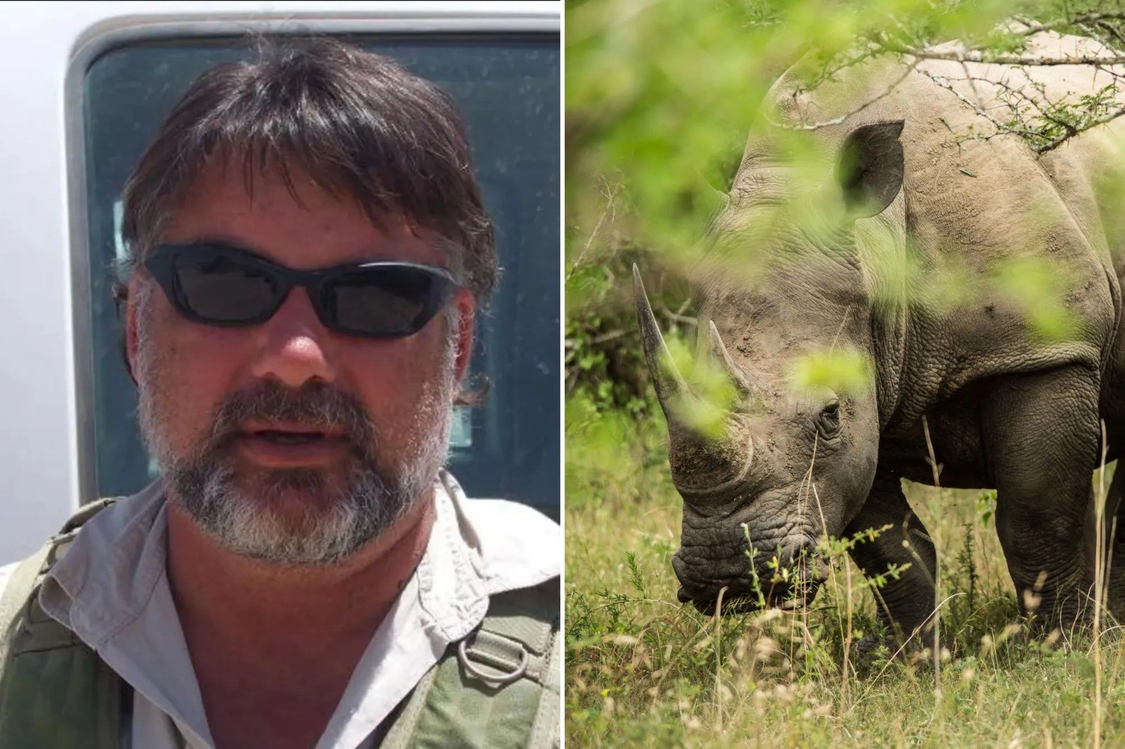 Protetor de rinocerontes contra caçadores ilegais morre após ataque durante patrulha na África do Sul